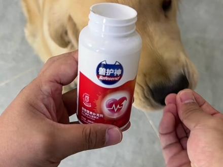 #科学养宠攻略 #新手养宠 预防比啥都重要