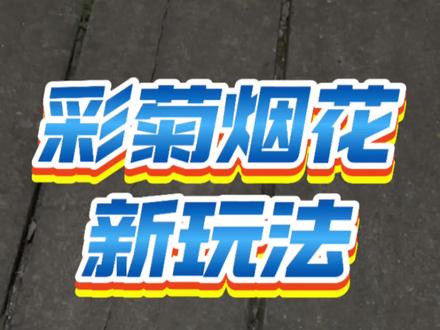 耶 彩菊还能这样玩#彩菊新玩法 #彩菊