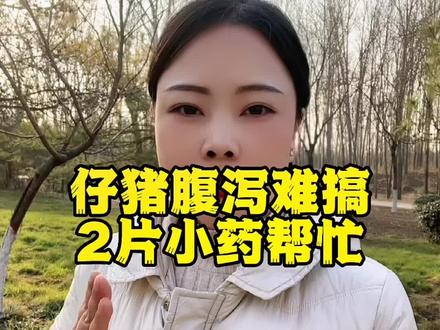 仔猪腹泻很难搞,两片小药来帮忙#养猪人加油干 #养猪人 #养猪技术 #自繁自养 #农村养猪人