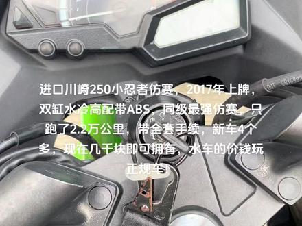 进口川崎小忍者250仿赛