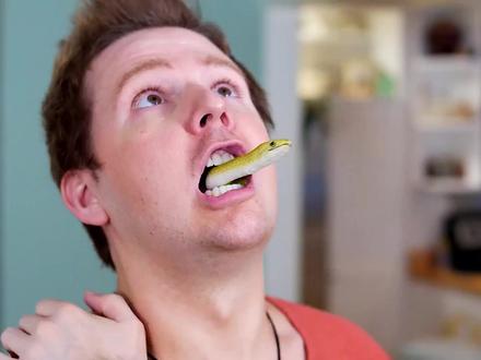 男人睡觉的时候,一只小蛇钻进嘴里!