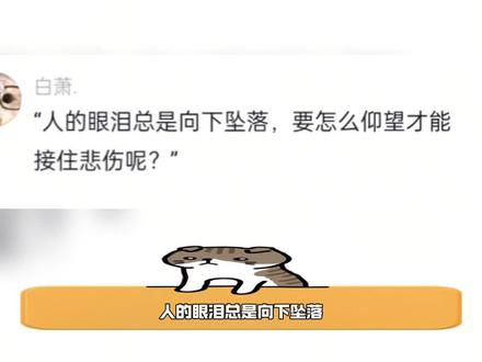 要怎么仰望才能止住悲伤呢?