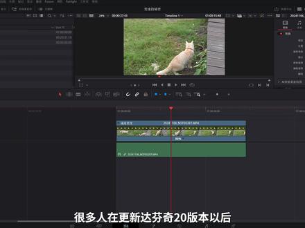 搞懂新版变速!职业剪辑师必学的达芬奇20变速逻辑 #曲多多 #AI相似音乐#音乐素材 #达芬奇