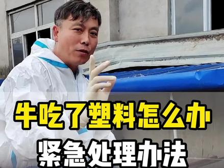 牛吃了塑料怎么办,紧急处理办法 #养牛人 #养牛 #牛吃塑料布怎么办