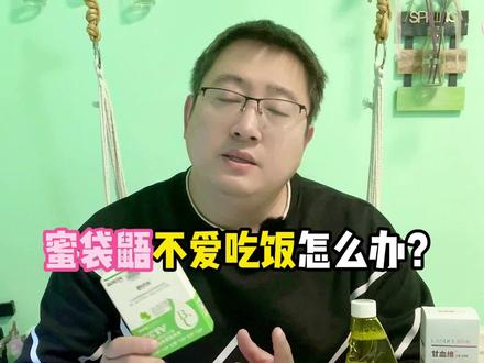 一直很瘦的蜜袋鼯怎么办?#蜜袋鼯 #科学养宠攻略 #玩家蜜袋鼯 #沈阳蜜袋鼯