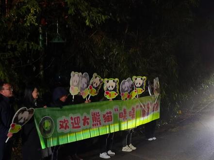 旅日大熊猫回国走出快乐步伐 #记录真实生活谁说回国隔离只能闷闷不乐?你瞧瞧这两位,步子轻快得都快飞起来了!
根据中国大熊猫保护研究中心发布的消息,旅日大熊猫双胞胎“晓晓”和“蕾蕾”,在1月28日凌晨平安飞抵成都,并顺利入住雅安基地的新家。这一路风尘仆仆,可它们一落地就展现了惊人的适应力——不仅步伐被网友形容为“快乐的步伐”,更是立马啃上了家乡的鲜笋,胃口好得很!
这对2021年出生在东京上野动物园的宝贝,如今回到父母的故乡。从“仙女”妈妈到“香香”姐姐,它们一家都陆续回国了。这轻快的脚步,或许就是回到熟悉土地后,最本能的安心与快乐吧。欢迎回家,晓晓 蕾蕾!#中国大熊猫保护研究中心 #东京上野动物园 #雅安基地 #大熊猫
