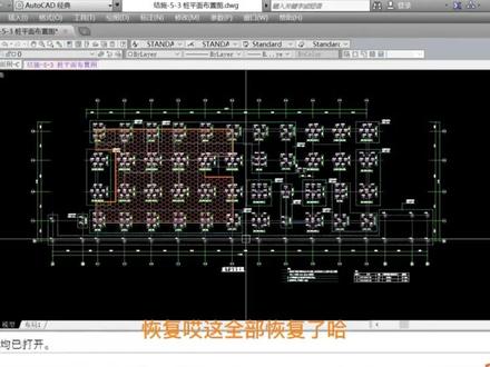 想学习怎么在CAD总图导入桩基图的看过来#工地 #cad #dou成长孵化营 #dou➕热门