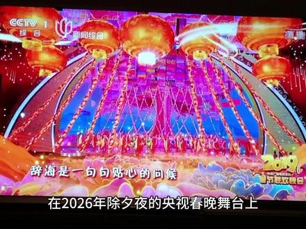 蔡明仿生机器人