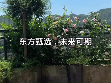 东方甄选是可以将于老师的个人商誉价值变现的最好途径。有人说细节决定成败,但是于老师对细节的把控肯定在绝大多数人以上的,所以这点就不用考虑了在各种因素的加持之下,东方甄选失败的概率极低