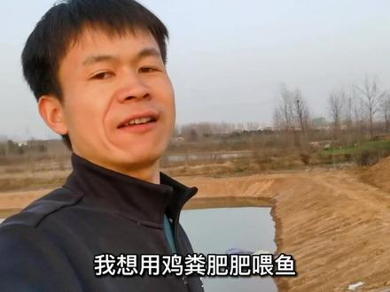 鸡粪肥水喂鱼,这样做就对了!#三农 #发酵料 #抖音新农人 #水产养殖技术 #发酵料 #抖音新农人