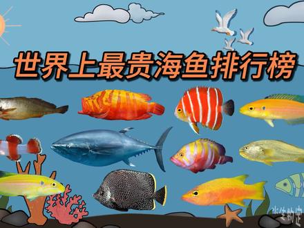 世界上昂贵的10种海鱼 #鱼类 #海洋生物 #海鱼 #海钓 #钓鱼 #科普一下 #海洋动物