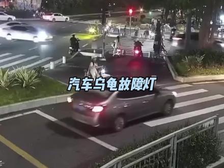 这个乌龟图标一定要重视#用车知识 #每天一个用车知识 #懂车小知识