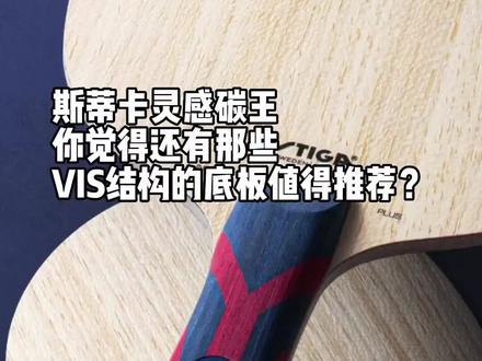 除了斯蒂卡灵感碳王外还有那些VIS结构的底板值得推荐?#乒乓球