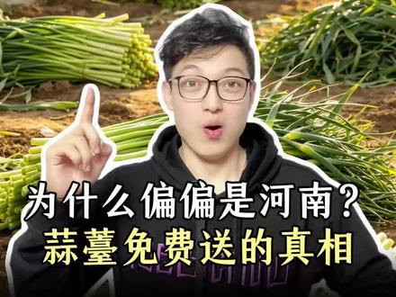 别再让孩子跟风玩梗了!河南蒜薹免费送的背后,全是和农民心酸和地理考点#地理 #河南蒜薹 #河南 #蒜薹 #三农