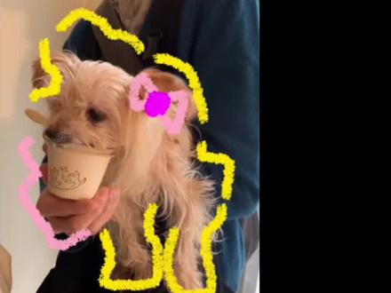 剪映教程 │ 实况涂鸦描边效果
#剪映教学 #轻而易剪 #我给碎片描个边 #实况涂鸦