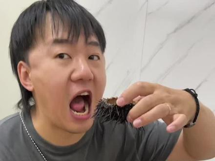 🌟大连|海胆小馆 ✔️ 一家不大的小店 海胆水饺却很赞 👏👏👏 #大连美食 @DOU+小助手