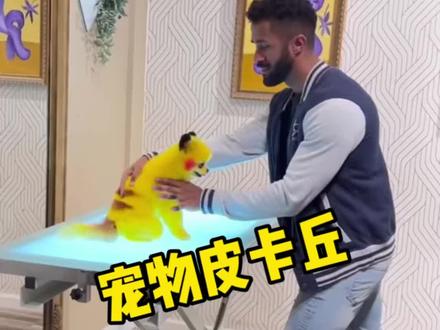 想不想养一只宠物皮卡丘呢?宠物理发店可以给小动物染发 #宠物理发店 #动物染发 #宠物