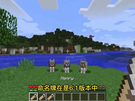 我的世界:关于命名牌,你要知道的四个冷知识! #mc不灭 #制作不易 #我的世界 #一定要看到最后