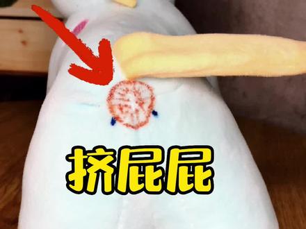 怎么给狗狗挤屁股
#萌宠 #狗狗 #比熊 #新手养狗须知
#宠物洗澡