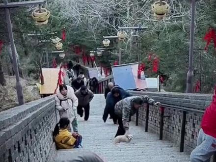 心存恶念还拜什么神佛,五台山黛螺顶上一男子当众打狗#养狗 #五台山 #宠物 #善良 #善待动物