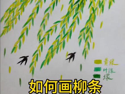 春天,怎么能少了柳树呢
如何画柳树
#自学画画打卡#彩铅#简笔画