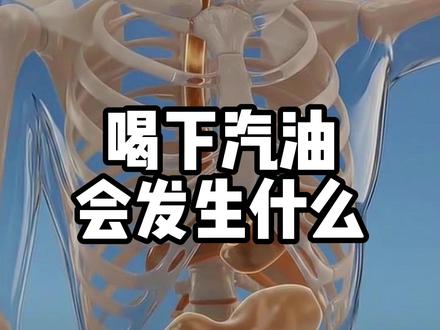 喝下汽油会发生什么 #科普 #涨知识