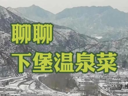 #支持三农扶持三农发展
出镜了。下堡温泉菜简介
#绿色生态农业