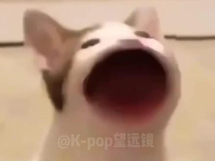 Jennie是伊拉克大使馆的房东,好有实力的房东姐姐#jennie#kpop#娱乐