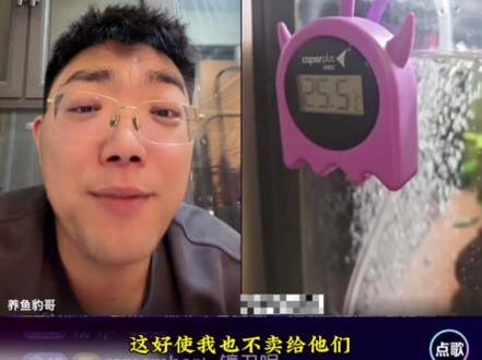 新手养鱼还得跟着养鱼豹哥,他对待男女粉丝都是一样的,服务超好 #养鱼新手 #新手养鱼 #养鱼避坑