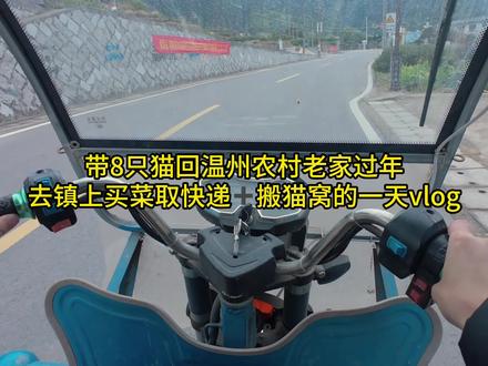 带8只猫回温州农村老家过年|今天去镇上买菜取快递➕倒腾猫窝的一天#养猫新手 #铲屎官日记 #多猫家庭 #日常vlog #猫咪回村过年