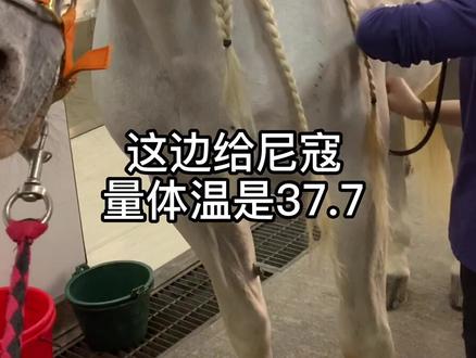 尼寇演戏的一天#萌宠出道计划 #抖音小助手 #马