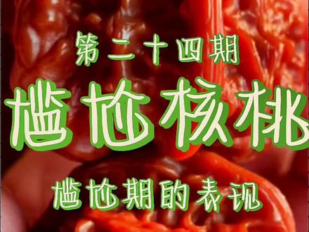 #文玩 #核桃 核桃尴尬期能不能避免?评论区留下你的看法 #文玩核桃知识 #科普 #走酱