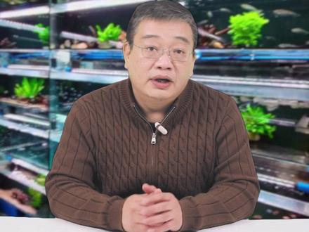 六角恐龙鱼总是养不活?还把外鳃养没了,变成 “光头党”?避开这5个坑,保住它的仙气外鳃!#养鱼日记 #新手养鱼 #观赏鱼 #养鱼我是认真的
