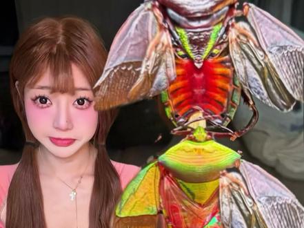 揭露吃播的流量密码真相~我又来了!#测评#打屁虫#清凉冻#九香虫