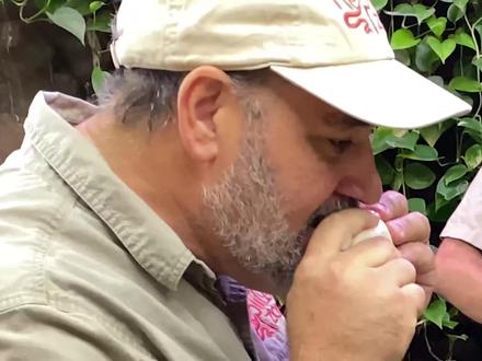 坏掉的蟒蛇蛋怎么处理?蜥蜴:吃席了吃席了! #鱼池#喂鱼#池塘 #养龟人 #蜥蜴#异宠#干饭人#蛇蛋#高蛋白