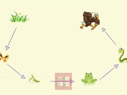 一分钟了解食物链#生物 #初中生物 #提分