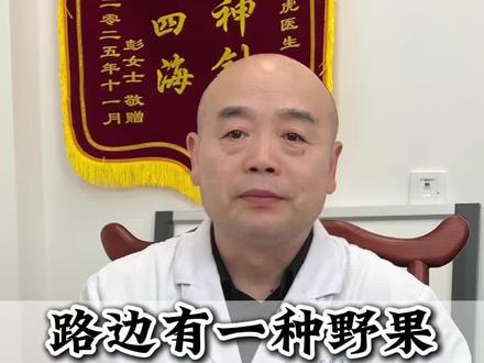 路边有一种野果,既能补肾又助阳#楮实子 #构树 #抖出健康知识宝藏 #中医 #补肝肾