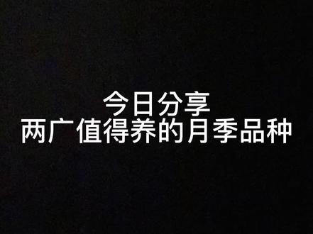 今日分享两广值得养的品种,有补充的欢迎来评论哦#爱生活爱养花 #月季 #花卉基地 #创作灵感