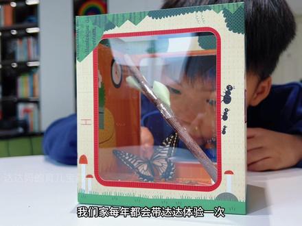 蝴蝶孵化盒子已经用它连续三年春天孵化小蝴蝶啦,每一只都好漂亮~带娃一起见证生命奇迹#科普