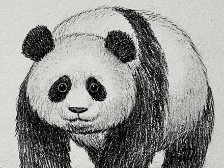 🧑🏻🎨/ 一分钟学画画 / 可爱熊猫 /🐼 一分钟学会!超简单的画熊猫方法✿ ◡‿◡✿ #零基础学画画 #一起学画画 #画熊猫 #熊猫画法 #熊猫画