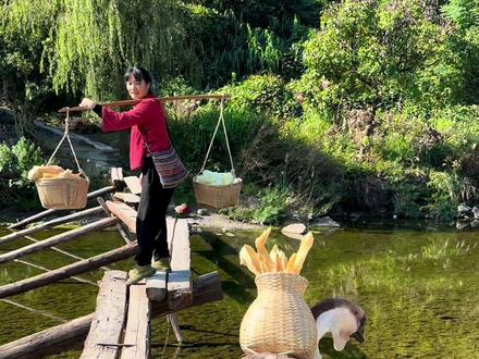 又去城里卖山货了,一鹅一鸭🦆今天啤酒鸭跟我们一起走桥上,自从上一个视频上热门以后大家说怎么独自让啤酒鸭走水路,看完这个视频就这样什么原因了,1分30秒的时候啤酒鸭掉下去了😭😭吓死我了,他走桥不会低着头,没有大白认真,所以才让他走水路的,狮头鹅20多斤今年8岁了,绿头鸭5斤左右今年5岁,起初也是买来过年吃的,后来他们越来越听话,越来越乖,看见我会飞奔而来,能看家护院。因为太粘人了,后来他两天天陪着我去城里面卖山货。莲妹妹是贵州九零后农村姑娘。因为长期待在农村看起来像大姐一样😭不漂亮,但我都不在意,我就想一辈子住在农村了,已经习惯他们每天陪伴我左右,我一定要努力卖更多的山货出去。能在农村站住脚跟,不用去外面打工。能照顾到这两个小宝贝也能照顾到父母。鹅寿命30 -50年是真的能陪我到老。