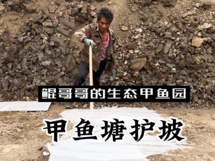 甲鱼塘施工现场,第一步:护坡#农村生活 #三农 #施工现场实拍 #养甲鱼的鲲哥哥 #甲鱼