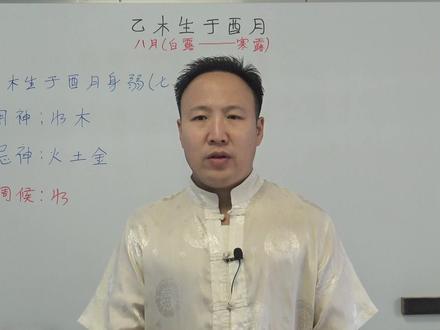 干支组合第十集:乙木生于酉月详解 #八字 #易学