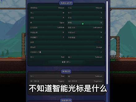 泰拉瑞亚:老哥一本正经的讲设置篇,画面,功能,智能光标 #泰拉瑞亚 #泰拉瑞亚手游 #泰拉瑞亚新手教学