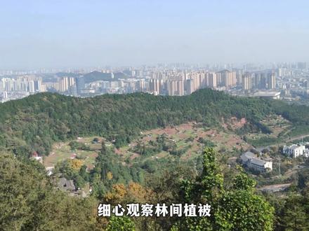 网络谜踪接到一张高山远景,挑战靠细节推理锁定城市。 看植被辨南北、看影子定朝向、看地形确定省份。
你以为的普通风景照,藏着锁定城市的全部密码。
你能提前猜到是哪里吗?评论区留下你的答案。
#网络谜踪 #地理知识 #推理 #南充 #科普