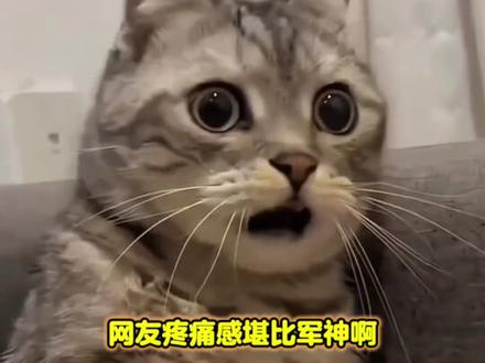 静脉:第一次做虫子有点不习惯 #搞笑 #万万没想到 #娱乐评论大赏 #静脉 #虫子