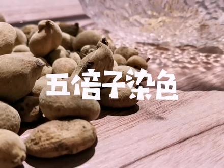 你也有过这种把自己捏疼得经历?不过看到最后的颜色~值得!#非遗合伙人 #草木染 #五倍子 @抖音小助手