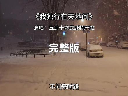 我独行在天地间完整版 #歌曲我独行在天地间 完整版