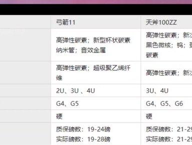 100zz和弓箭11怎么选?#羽毛球装备 #羽毛球