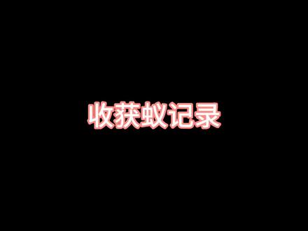 #野蛮收获蚁 #工匠收获蚁 #白刺收获蚁 #角收获蚁 #蚂蚁 @杨养蚂蚁 @小白同学养蚂蚁 收获蚁新后基本都出工了